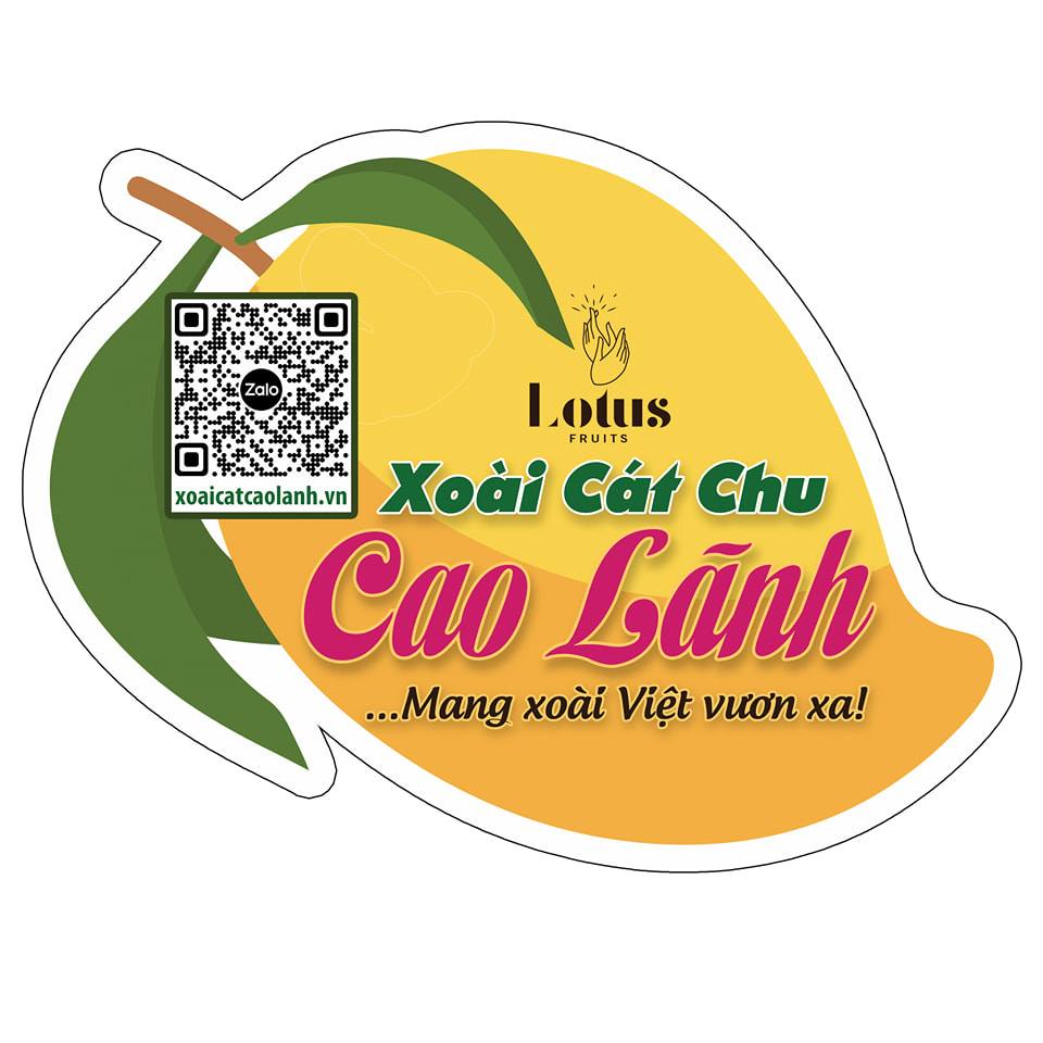 Sen Việt Fruits - Xoài Cát Chu